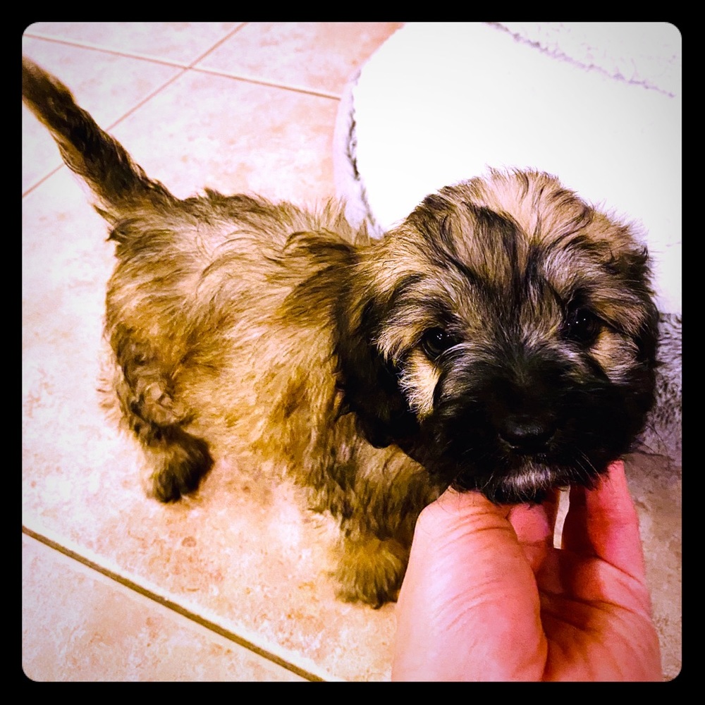 Meet your Posher, Michelle